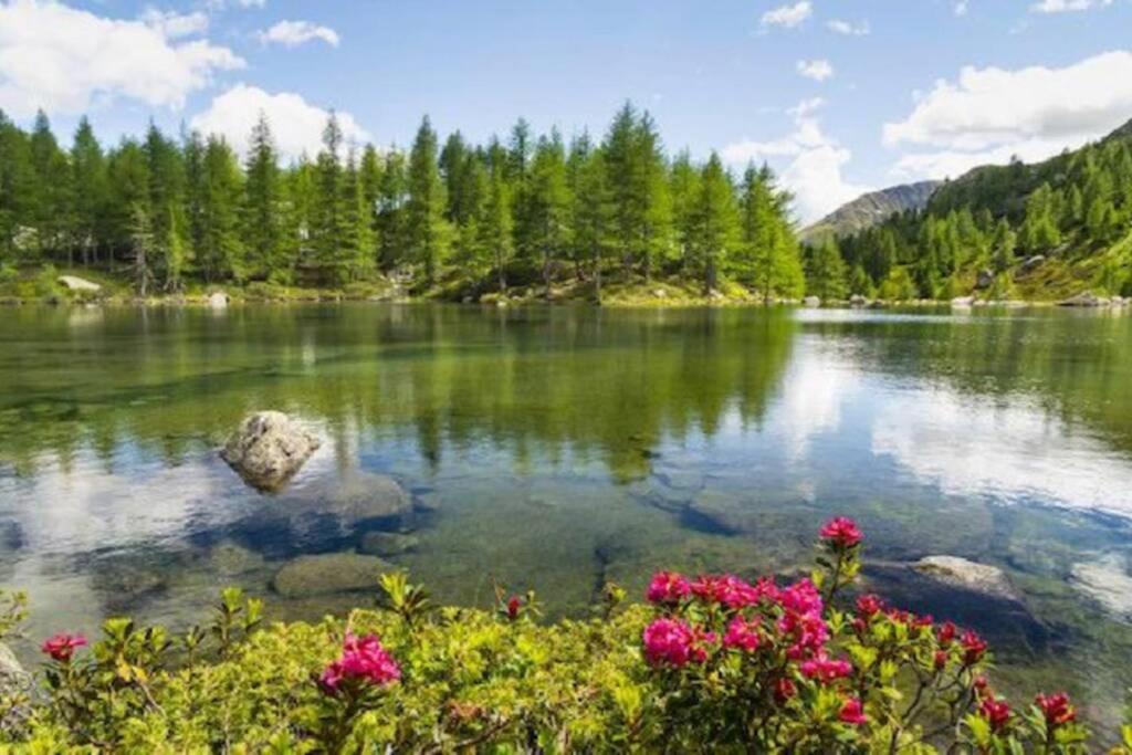 VIVI SERENO, uno stile si vita! Grosio Esterno foto